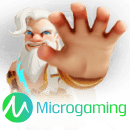 MicroGaming